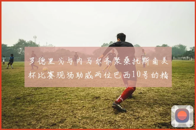 罗德里戈与内马尔齐聚桑托斯南美杯比赛现场助威两位巴西10号的精彩时刻